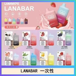 LANA BAR可充电一次性電子煙霧化5000口(3.0%)