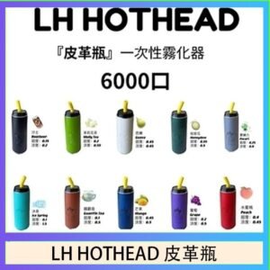LH HOTHEAD皮革瓶電子煙可充電6000口一次性