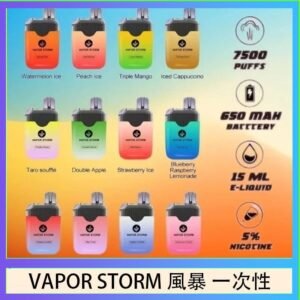 Vapor Storm風暴電子煙7500口（5%）一次性