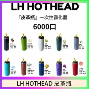 LH HOTHEAD皮革瓶電子煙可充電6000口一次性